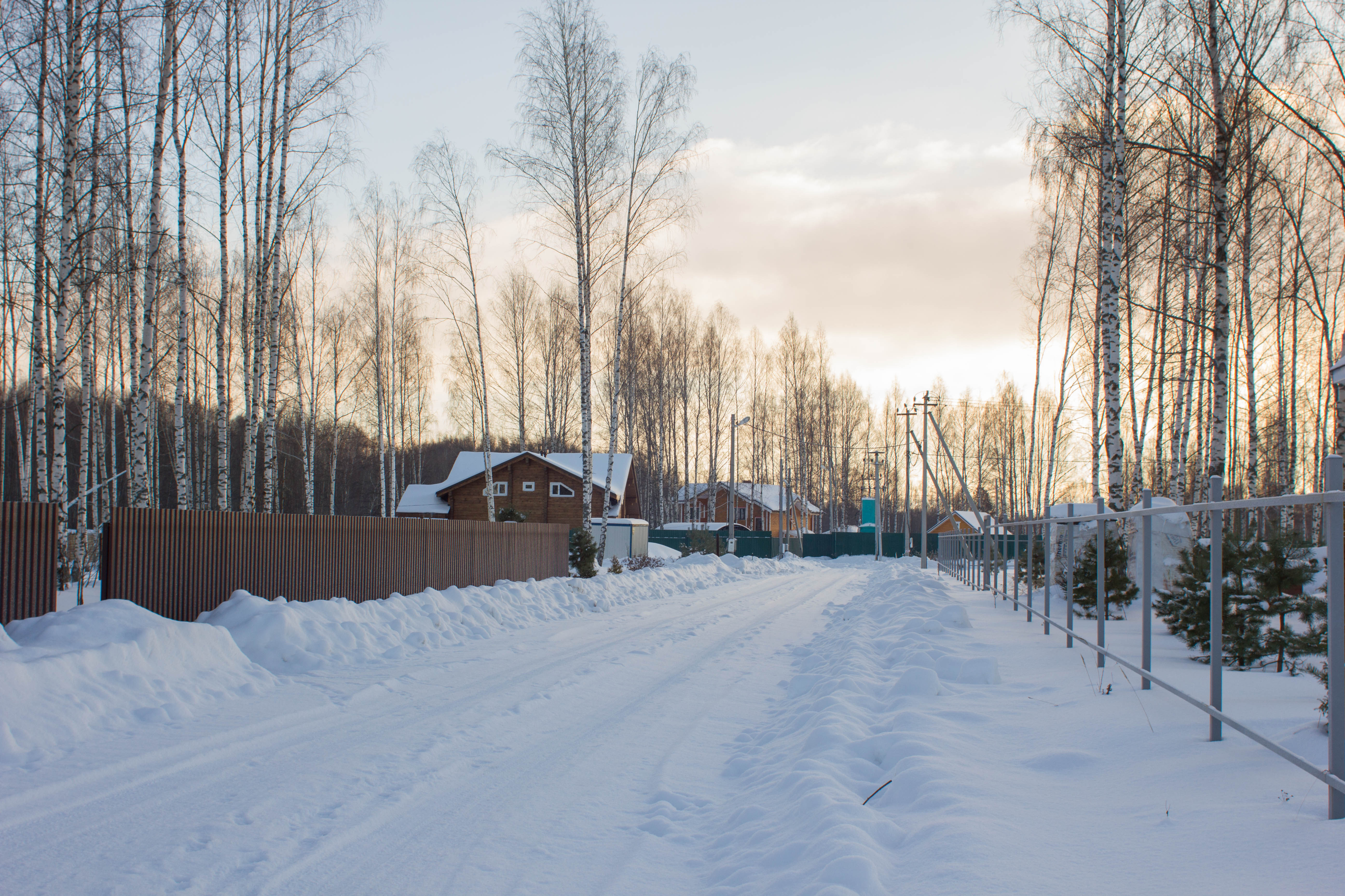 Дачный поселок лесной городок. Территория поселка. Деревня. Тимохино. Кладбища.